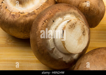 Grande Royal Fungo Champignon su un tagliere di legno Foto Stock