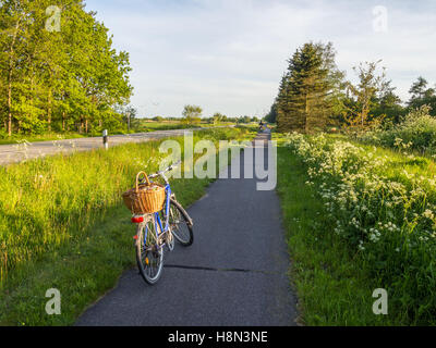 Bicicletta con carrello parcheggiato sulla pista ciclabile sul lato del paese del nord della Germania con lussureggianti e verdi intorno a. Foto Stock