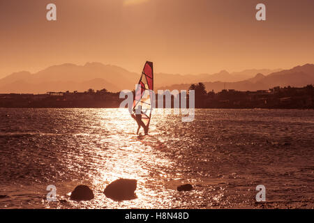 Windsurf Vela in mare al tramonto Foto Stock