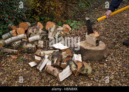 Pila di log da tagliare con grande divisione ax per legna da ardere Foto Stock