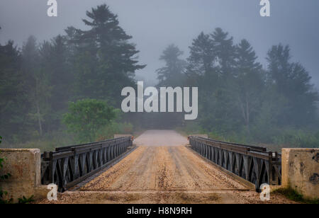 Darkemed strada forestale oltre il ponte sul lago Corry. Foto Stock