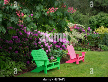 Iris e altre piante da fiore con sedia a Schriners Iris giardino. Oregon Foto Stock