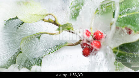 Closeup holly bacche e foglie racchiusi in blocco solido di ghiaccio, con interessanti bolla di aria patterns Foto Stock