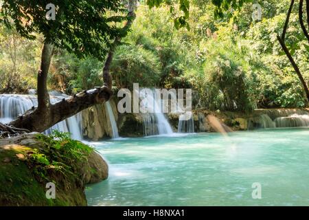 Dettaglio della Tat cascata di Guangxi, Luang Prabang, Laos. Foto Stock