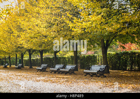 Regent's Park in autunno, London, Regno Unito Foto Stock
