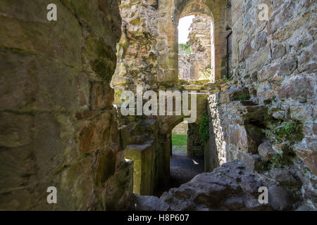 Regno Unito, Inghilterra, Yorkshire, Richmond - Abbazia di Sant Agata, più comunemente noto come Easby Abbey si trova nella città di Richmond. Foto Stock