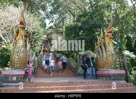 Le scale conducono fino al Wat Phra That Doi Suthep, Chiang Mai, Thailandia Foto Stock
