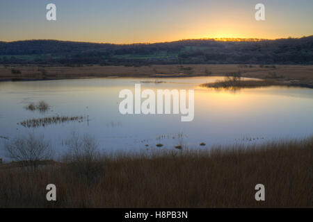 Visualizzare overfreshwater piscine e reedbed all'alba. Leighton Moss RSPB Riserva Naturale. Lancashire, Inghilterra. Novembre. Foto Stock