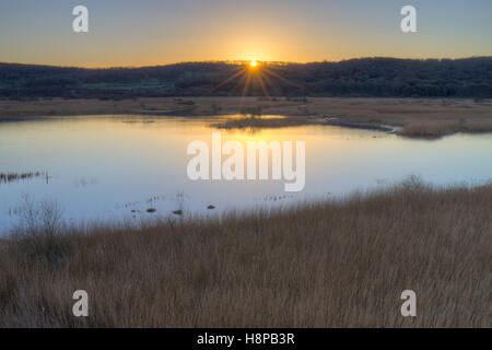 Visualizzare overfreshwater piscine e reedbed all'alba. Leighton Moss RSPB Riserva Naturale. Lancashire, Inghilterra. Marzo. Foto Stock