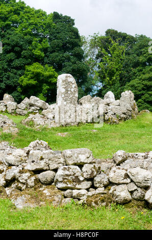 Lligwy Din - Din Llugwy, il monumento antico rifugio fortificato gruppo insediamento in prossimità di Moelfre, Angelsey, il Galles del Nord Foto Stock