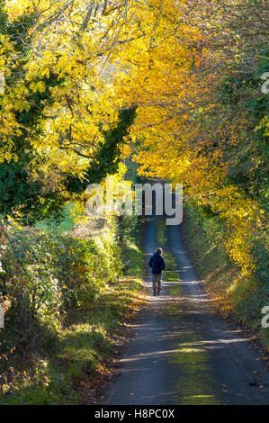 Camminare lungo una strada di campagna vicino a Bagno, Somerset, Inghilterra, Regno Unito Foto Stock