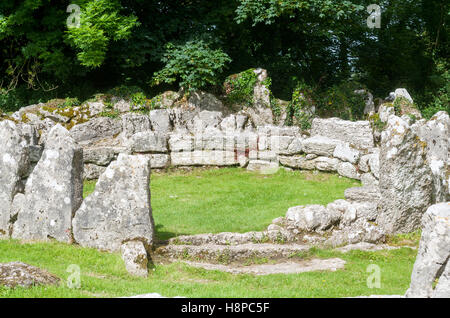 Lligwy Din - Din Llugwy, il monumento antico rifugio fortificato gruppo insediamento in prossimità di Moelfre, Angelsey, il Galles del Nord Foto Stock