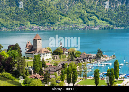Il castello di Spiez con yacht nave sul lago di Thun a Berna, Svizzera. Grazioso paesaggio in Svizzera Foto Stock