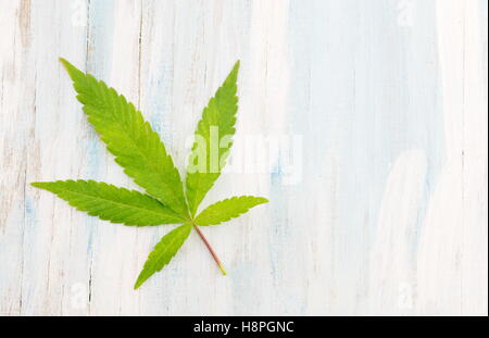 Piante di marijuana sul luminoso sullo sfondo di legno Foto Stock