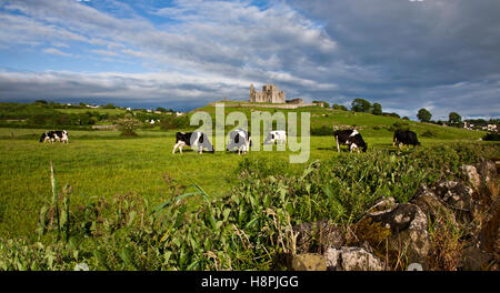 Rock of Cashel Castello con Holstein primavera vacche da latte pascolo in un campo, cielo blu, Contea Tipperary, Irlanda Campagna Europa, FS 9 MB. 300ppi Foto Stock