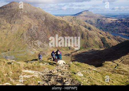 Gli escursionisti escursioni sul ripido sentiero sassoso fino Yr Aran con Y Lliwedd dietro nelle montagne del Parco Nazionale di Snowdonia. Gwynedd, Wales, Regno Unito Foto Stock