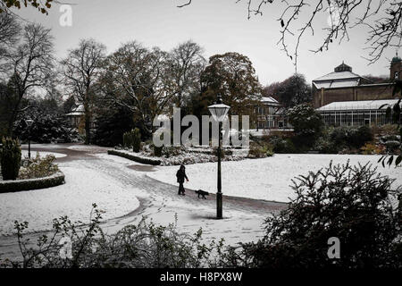 Neve a Buxton, Derbyshire , Inghilterra oggi (mercoledì 9 novembre 2016). Una donna cammina il suo cane attraverso Pavilion Gardens. Foto Stock