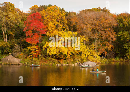 Parco cittadino, Central Park, New York City, Stati Uniti, turisti su tre barche a remi in una splendida giornata autunnale con uno sfondo di alberi dai colori vivaci. Foto Stock