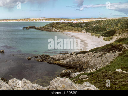 Gypsy Cove, Isole Falkland. 7 febbraio, 2003. Un appartato mezzaluna di sabbia bianca, Gypsy Cove è a 4 miglia da Port Stanley a nord-ovest di Yorke Bay nelle isole Falkland, spesso frequentato da turisti e i pinguini di Magellano. © Arnold Drapkin/ZUMA filo/Alamy Live News Foto Stock