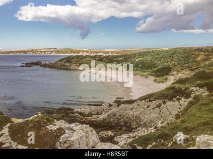 Gypsy Cove, Isole Falkland. 7 febbraio, 2003. Un appartato mezzaluna di sabbia bianca, Gypsy Cove è a 4 miglia da Port Stanley a nord-ovest di Yorke Bay nelle isole Falkland, spesso frequentato da turisti e i pinguini di Magellano. © Arnold Drapkin/ZUMA filo/Alamy Live News Foto Stock