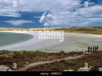 Gypsy Cove, Isole Falkland. 7 febbraio, 2003. Un appartato mezzaluna di sabbia bianca, Gypsy Cove è a 4 miglia da Port Stanley a nord-ovest di Yorke Bay nelle isole Falkland, spesso frequentato da turisti e i pinguini di Magellano. © Arnold Drapkin/ZUMA filo/Alamy Live News Foto Stock