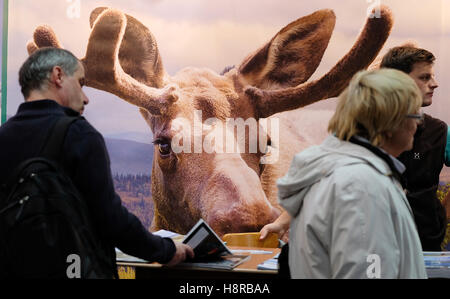 Leipzig, Germania. Xvi Nov, 2016. La foto di un alce può essere visto in vacanza Scandanvian stand presso il turismo & caravan trade show di Leipzig, Germania, 16 novembre 2016. Circa 600 espositori provenienti da 18 paesi e 60 marche nel settore caravan sono presentando la vacanza il commercio equo in esecuzione dal 16 fino al 20 novembre 2016. Vacanze a 67 paesi diversi sono pure in offerta. Foto: SEBASTIAN WILLNOW/DPA/Alamy Live News Foto Stock