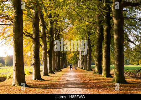 La gente che camminava sul percorso con filari di alberi in legno di country estate Boekesteyn in autunno, 's Graveland, Paesi Bassi Foto Stock