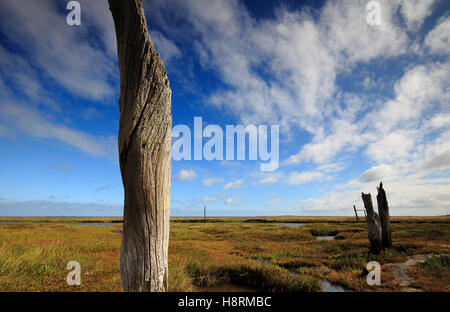 Vecchi pali in legno a Thornham porto sulla Costa North Norfolk. Foto Stock