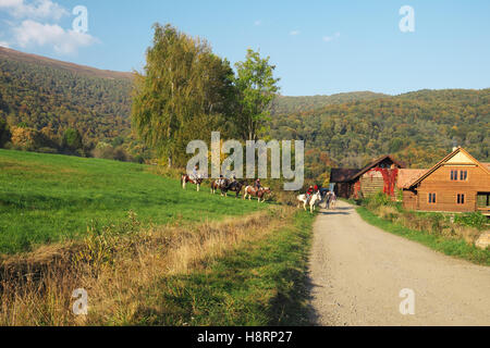 Viaggio a cavallo in Bieszczady, Polonia Foto Stock