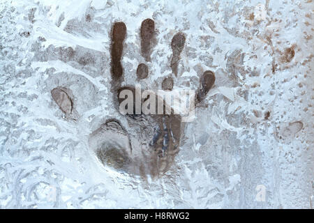 Traccia di palme su una finestra congelati Foto Stock
