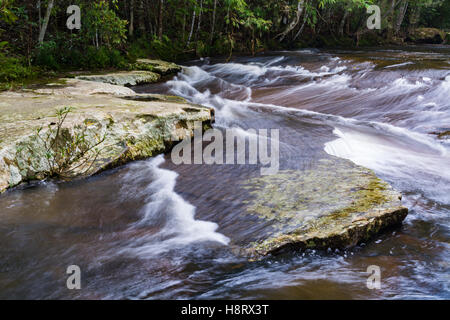 Flusso nella foresta tropicale di Phu Kradueng national park, Loei Thailandia. Foto Stock