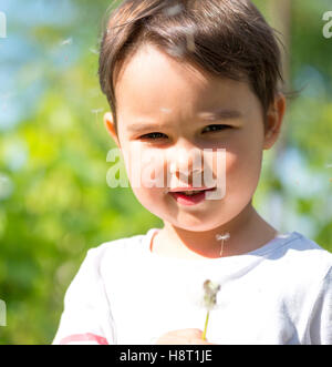 Bambina soffiando la lanugine off una testa di dente di leone Foto Stock