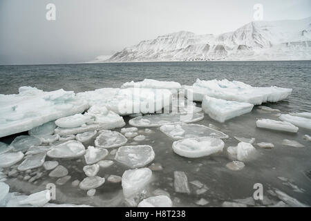 Mare la formazione di ghiaccio su Adventfjorden Seeeis im Adventfjorden bei Longyearbyen, Svalbard, Spitsbergen Foto Stock