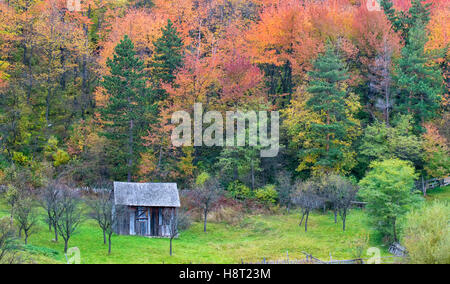 Paesaggio autunnale con una casa di legno. Foresta colorate sulle pendici dei monti Foto Stock