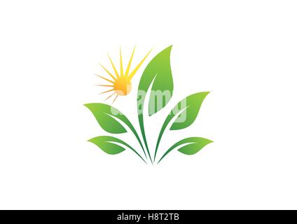 La natura lascia concetto sun logo, energia naturale di elementi vegetali ecologia concetto simbolo icona disegno vettoriale Illustrazione Vettoriale