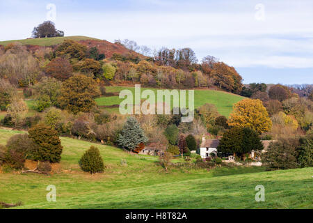 Autunno in Cotswolds - Agriturismo Wresden sotto Downham Hill, Uley, GLOUCESTERSHIRE REGNO UNITO Foto Stock