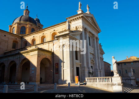 Il Duomo, la cattedrale, Urbino, Marche, Italia Foto Stock