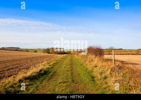 Il Minster modo sentiero tra siepi di biancospino e i campi arabili in scenic Yorkshire wolds paesaggio in autunno. Foto Stock