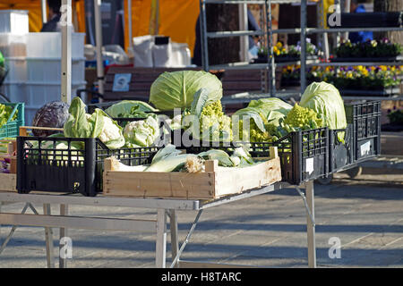 Le verdure sul tavolo del mercato Foto Stock