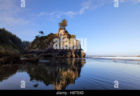 Rock formazione riflette la sabbia bagnata. Spiaggia di nascosto, Del Norte Coast Redwoods State Park, California, Stati Uniti d'America. Foto Stock