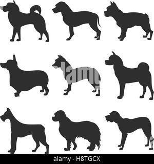 Set di cani akita silhouette e bulldog, malamute e mastiff, illustrazione vettoriale Illustrazione Vettoriale