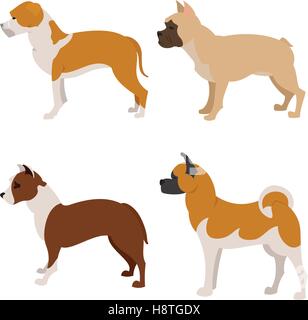 Raccolta di cani di razza bulldog francese, pittbull e staffordshire terrier, illustrazione vettoriale Illustrazione Vettoriale