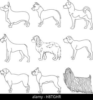 Raccolta di razze cane in linea. Pedigree malamute e Akita, illustrazione vettoriale Illustrazione Vettoriale