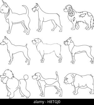 Set di cani di razza in stile lineare. Bulldog e chihuahua, illustrazione vettoriale Illustrazione Vettoriale