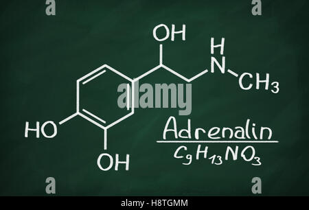 Il modello strutturale di adrenalina sulla lavagna. Foto Stock