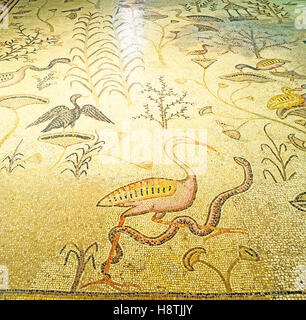 Gli antichi mosaici nella chiesa di moltiplicazione, raffigurante la zona umida di uccelli di mare di Galilea tra i fiori e il serpente Foto Stock