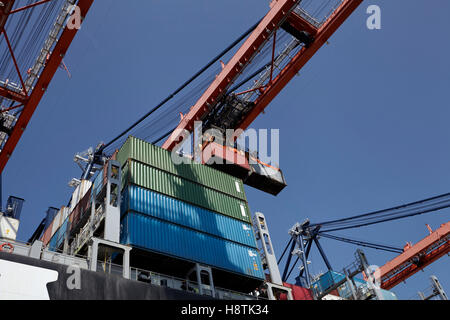 Gru e veicoli nel porto di Rotterdam, Paesi Bassi Foto Stock