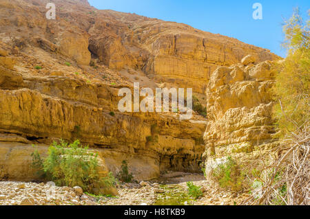 Il ripido pendio della montagna rocciosa di Ein Gedi oasi nel deserto della Giudea, Israele. Foto Stock