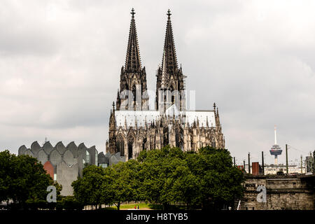 Grande chiesa di S. Martino e Cattedrale di Colonia, Colonia, nella Renania, Nord Reno-Westfalia, Germania Foto Stock