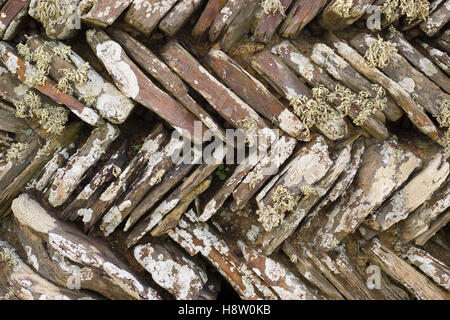 Cornish stone hedge con condotto motivo a spina di pesce, Cornwall Foto Stock